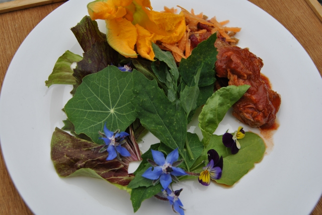 Fat hen salad with mackerel courgette and other flowers